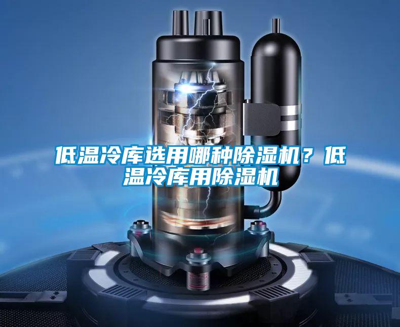 低溫冷庫(kù)選用哪種除濕機(jī)？低溫冷庫(kù)用除濕機(jī)