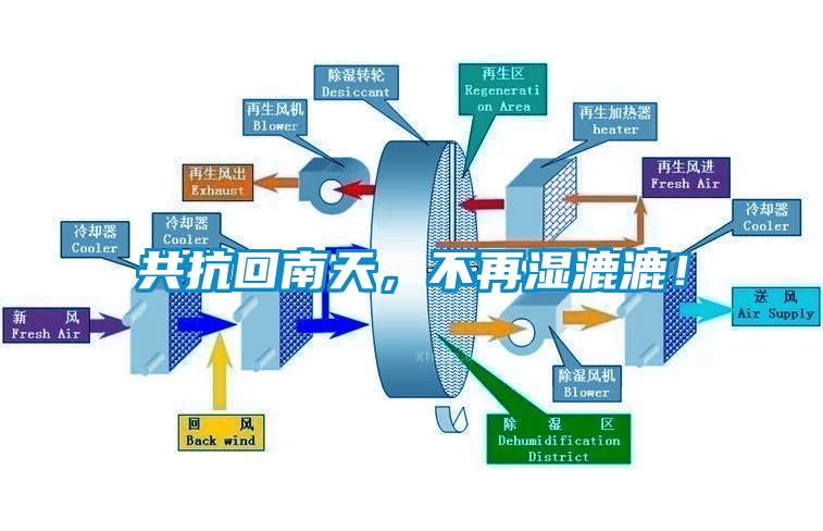 共抗回南天，不再濕漉漉！