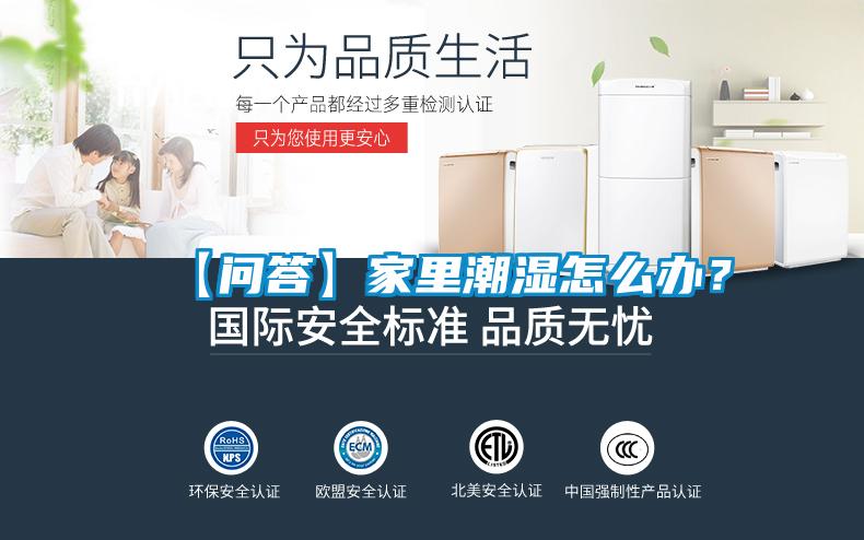 【問(wèn)答】家里潮濕怎么辦？