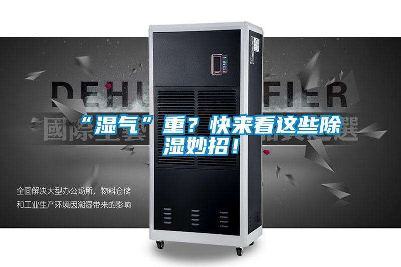 “濕氣”重？快來看這些除濕妙招！