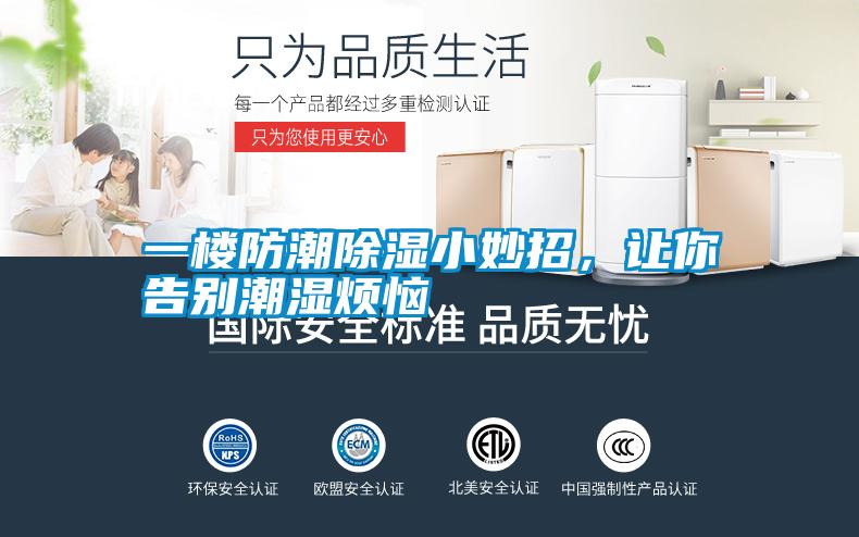 一樓防潮除濕小妙招，讓你告別潮濕煩惱