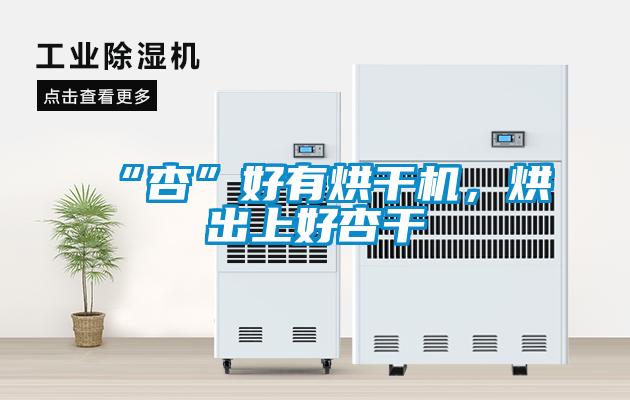 “杏”好有烘干機，烘出上好杏干