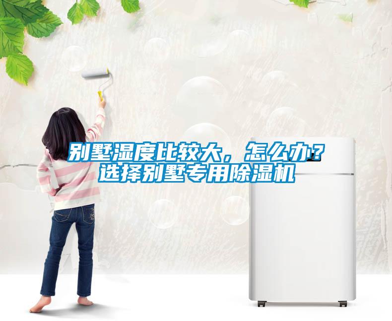 別墅濕度比較大，怎么辦？選擇別墅專用除濕機