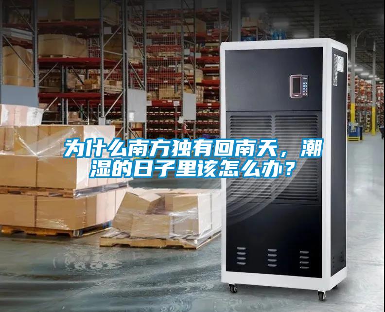 為什么南方獨有回南天，潮濕的日子里該怎么辦？