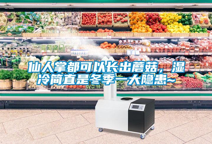 仙人掌都可以長出蘑菇，濕冷簡直是冬季一大隱患~