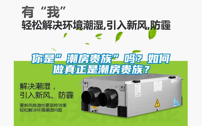 你是”潮房貴族”嗎？如何做真正是潮房貴族？