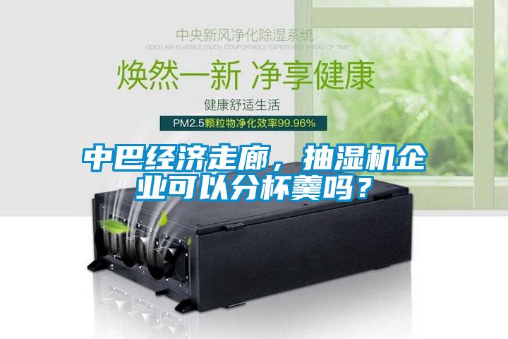 中巴經濟走廊，抽濕機企業(yè)可以分杯羹嗎？