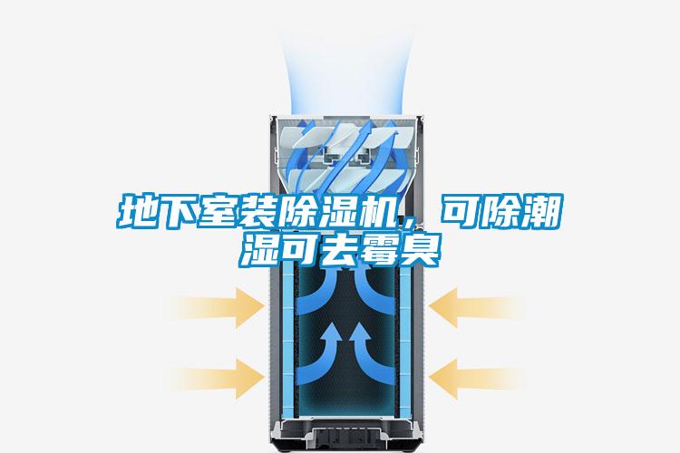 地下室裝除濕機(jī)，可除潮濕可去霉臭