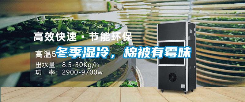 冬季濕冷，棉被有霉味