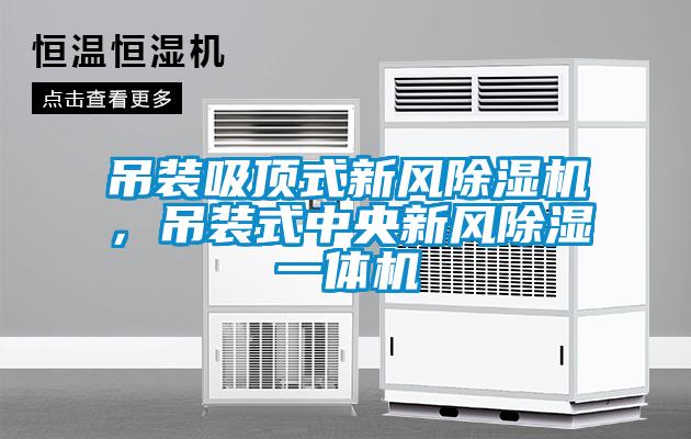 吊裝吸頂式新風(fēng)除濕機(jī)，吊裝式中央新風(fēng)除濕一體機(jī)