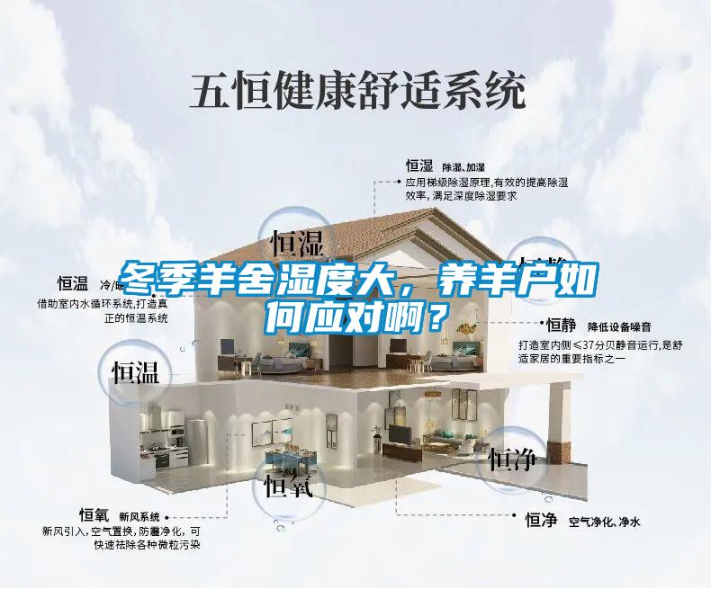 冬季羊舍濕度大，養(yǎng)羊戶如何應(yīng)對(duì)?。?/></p>
						    <p style=