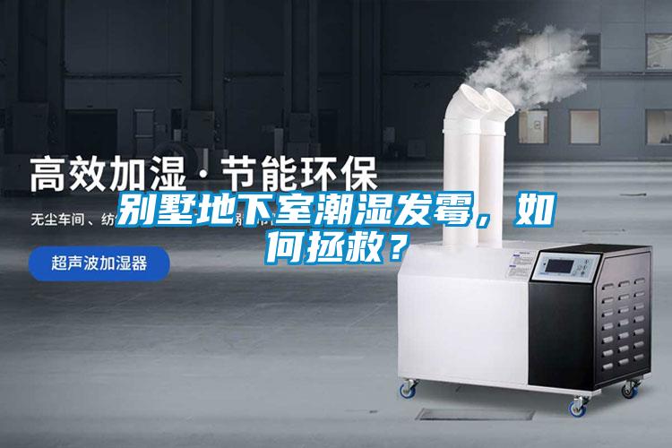 別墅地下室潮濕發(fā)霉，如何拯救？