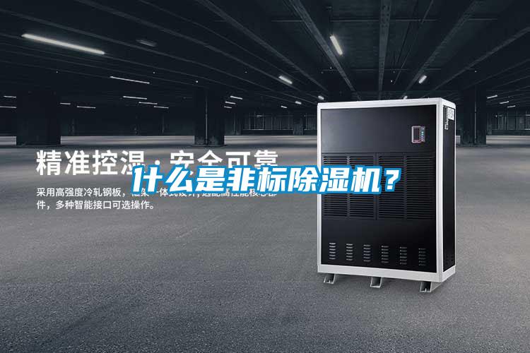 什么是非標除濕機？