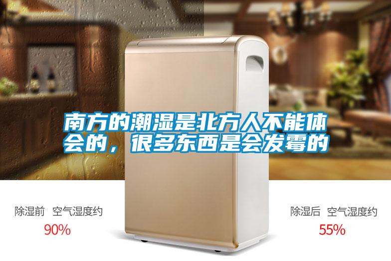 南方的潮濕是北方人不能體會(huì)的，很多東西是會(huì)發(fā)霉的