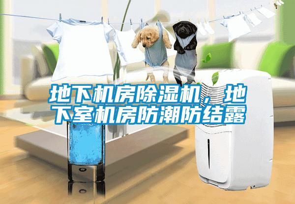 地下機房除濕機，地下室機房防潮防結露