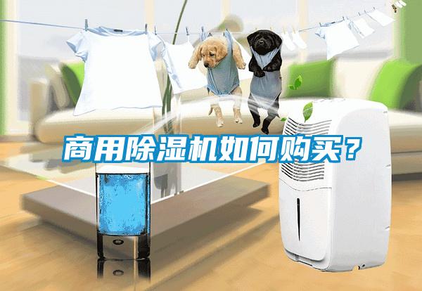 商用除濕機如何購買？