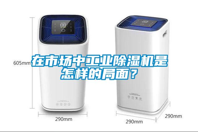 在市場中工業(yè)除濕機是怎樣的局面？