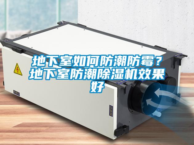 地下室如何防潮防霉？地下室防潮除濕機效果好