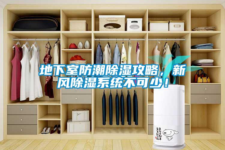 地下室防潮除濕攻略，新風(fēng)除濕系統(tǒng)不可少！