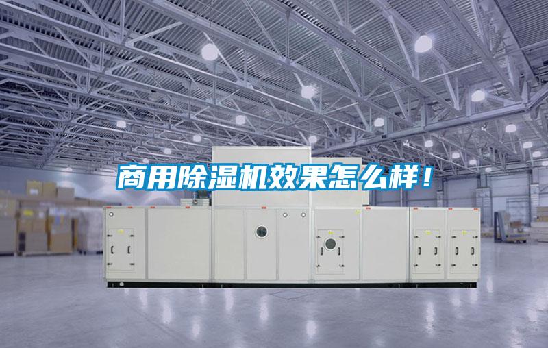 商用除濕機效果怎么樣！