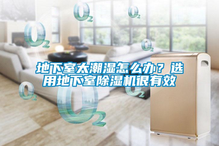 地下室太潮濕怎么辦？選用地下室除濕機(jī)很有效