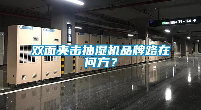 雙面夾擊抽濕機品牌路在何方？