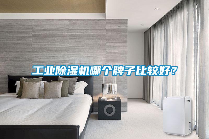 工業(yè)除濕機(jī)哪個(gè)牌子比較好？