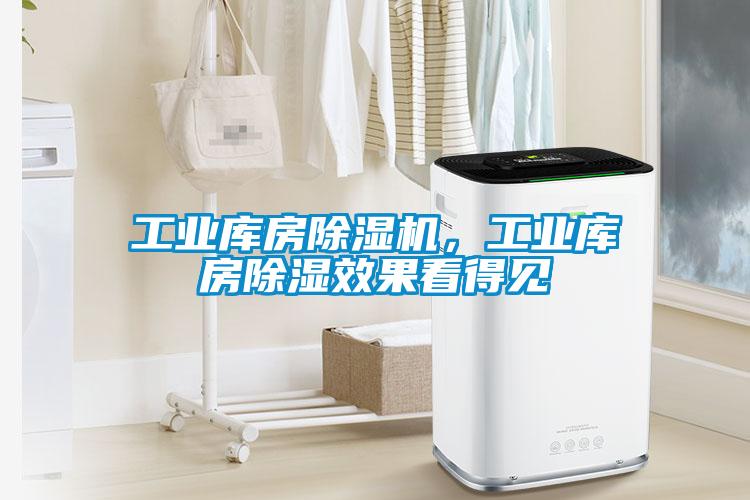 工業(yè)庫(kù)房除濕機(jī)，工業(yè)庫(kù)房除濕效果看得見(jiàn)