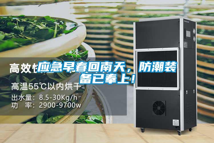 應(yīng)急早春回南天，防潮裝備已奉上！