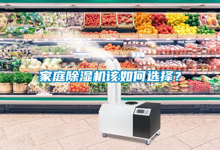 家庭除濕機該如何選擇？