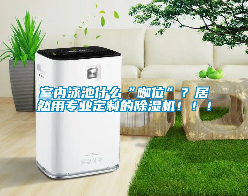 室內泳池什么“咖位”？居然用專業(yè)定制的除濕機?。?！