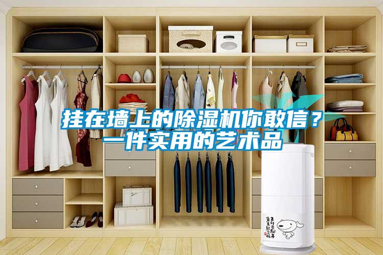 掛在墻上的除濕機(jī)你敢信？一件實(shí)用的藝術(shù)品