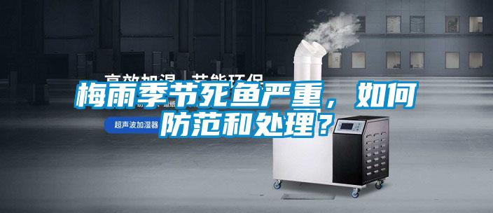 梅雨季節(jié)死魚嚴重，如何防范和處理？