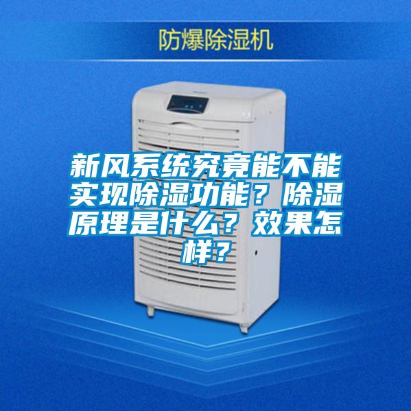新風系統(tǒng)究竟能不能實現(xiàn)除濕功能？除濕原理是什么？效果怎樣？