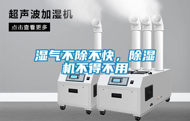 濕氣不除不快，除濕機(jī)不得不用