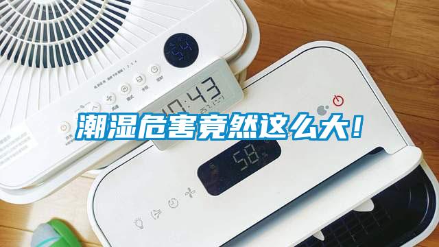 潮濕危害竟然這么大！