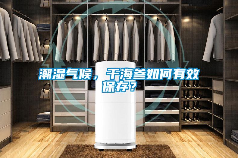 潮濕氣候，干海參如何有效保存？