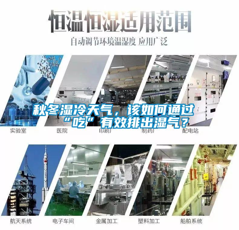 秋冬濕冷天氣，該如何通過“吃”有效排出濕氣？