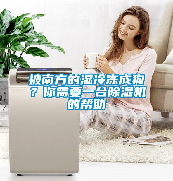 被南方的濕冷凍成狗？你需要一臺除濕機的幫助