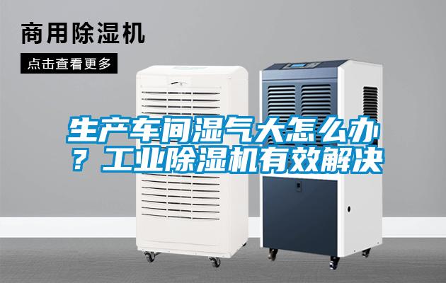 生產(chǎn)車間濕氣大怎么辦？工業(yè)除濕機(jī)有效解決