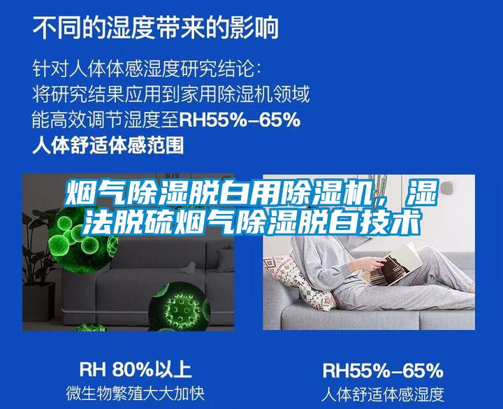 煙氣除濕脫白用除濕機，濕法脫硫煙氣除濕脫白技術(shù)