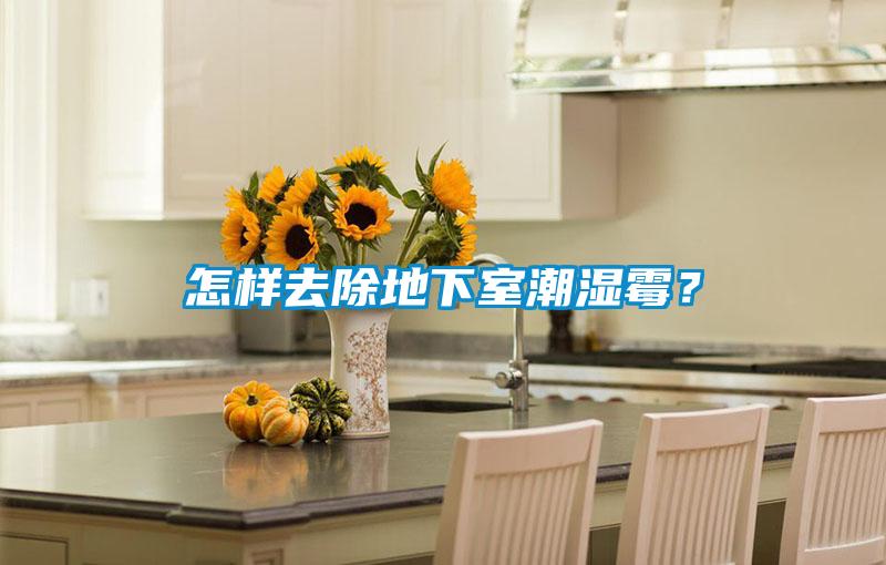 怎樣去除地下室潮濕霉？
