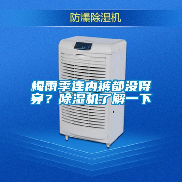 梅雨季連內(nèi)褲都沒得穿？除濕機了解一下