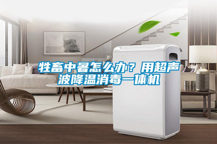 牲畜中暑怎么辦？用超聲波降溫消毒一體機(jī)