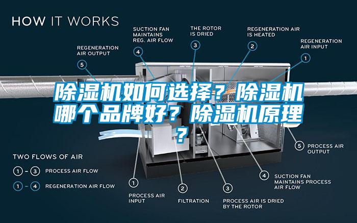 除濕機如何選擇？除濕機哪個品牌好？除濕機原理？