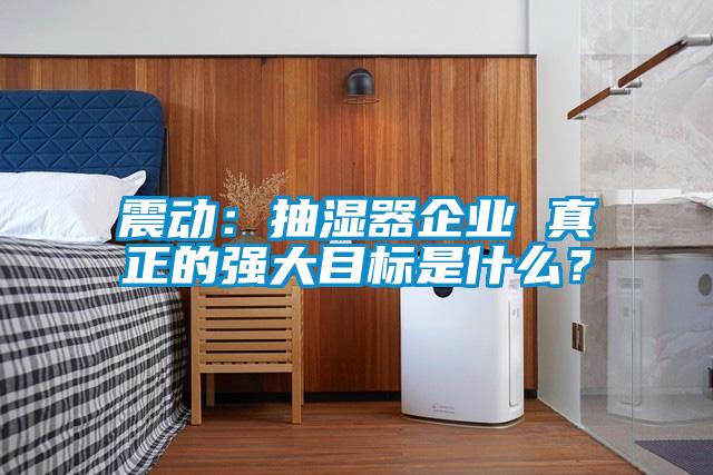 震動：抽濕器企業(yè) 真正的強(qiáng)大目標(biāo)是什么？