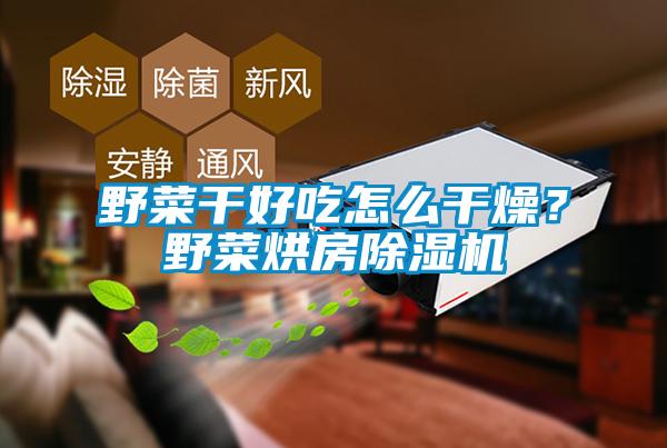 野菜干好吃怎么干燥？野菜烘房除濕機(jī)