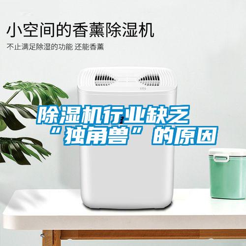 除濕機(jī)行業(yè)缺乏“獨角獸”的原因