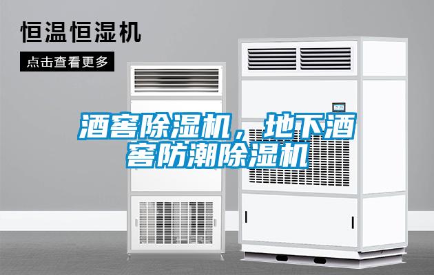 酒窖除濕機(jī)，地下酒窖防潮除濕機(jī)