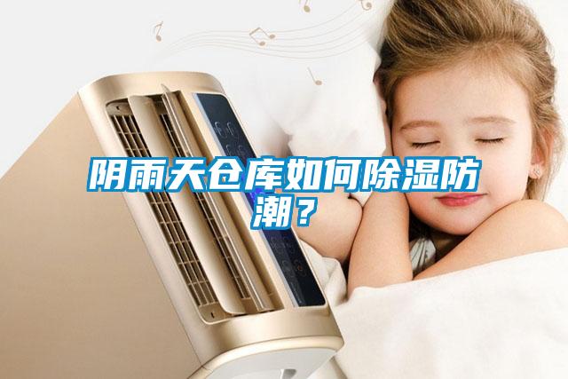 陰雨天倉(cāng)庫(kù)如何除濕防潮？